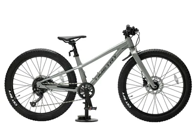 Велосипед TIMETRY TT246