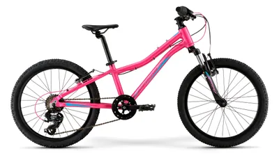 Велосипед детский Merida Matts J20 Eco 20&quot;