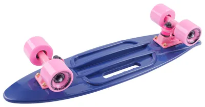 Скейтборд Fishboard 23 синий TECH TEAM