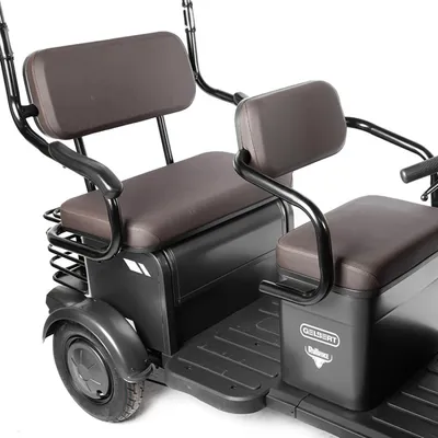 Трицикл электрический Gelbert Bos 48V/60V 800Вт