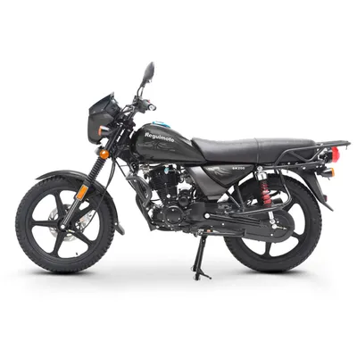Мотоцикл Regulmoto SK200