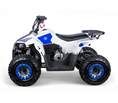 Квадроцикл Yacota Raposa 110
