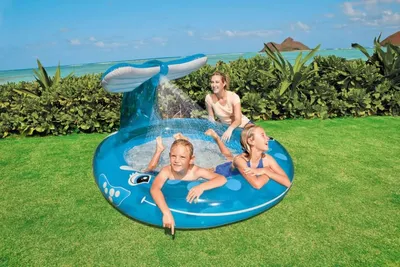 Бассейн INTEX Кит 99х157х208 см 57435