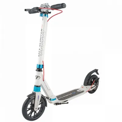 Самокат TECH TEAM City Scooter Disk Brake