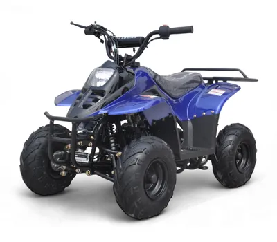 Квадроцикл Raptor 110