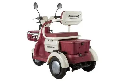 Трицикл электрический Gelbert Mercury 48V/60V 650Вт
