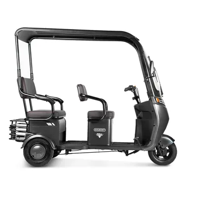 Трицикл электрический Gelbert Bos 48V/60V 800Вт