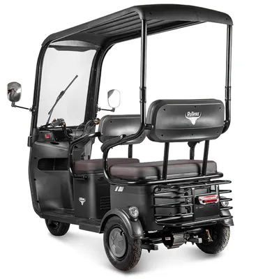 Трицикл электрический Gelbert Bos 48V/60V 800Вт