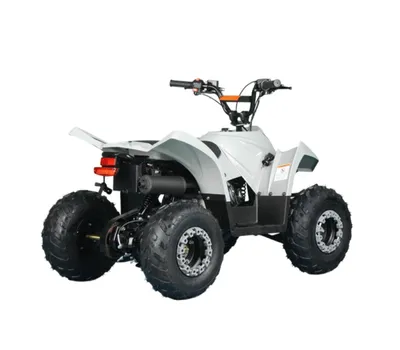 Квадроцикл SK11