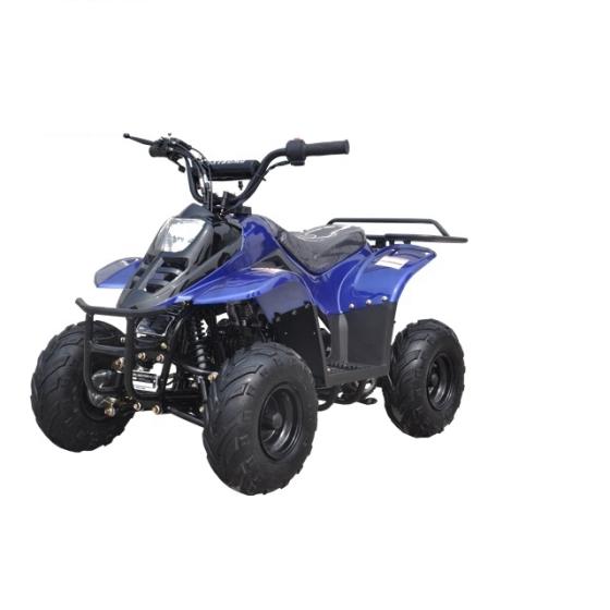 квадроцикл raptor 110сс 4-х тактный