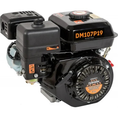 Двигатель DAMAN DM107P19 7 л.с 19мм