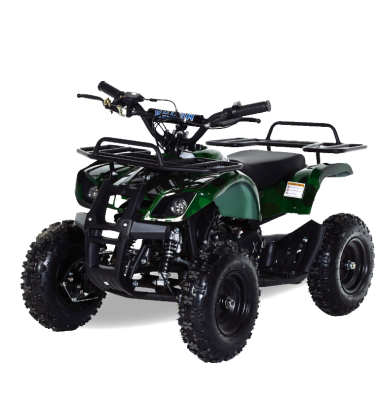 Квадроцикл MOTAX ATV X-16 E-Start