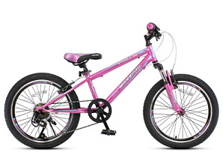 Велосипед детский MAXXPRO STEELY 20 N2001 20"