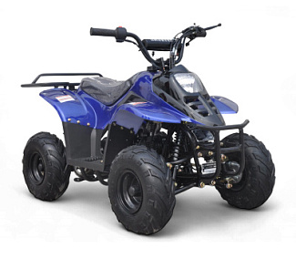 Квадроцикл Motoland Raptor 110