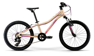 Велосипед детский Merida Matts J20 Eco 20"