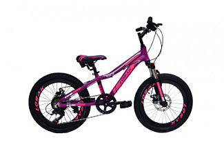 Велосипед детский Lorak RACE Lite Girl 20"