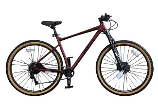 Велосипед DEXTpro 257 R29