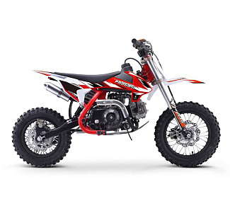 Питбайк Progasi Kids Power 110 (10/10)