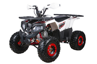 Квадроцикл Yacota Fusion 125 Pro