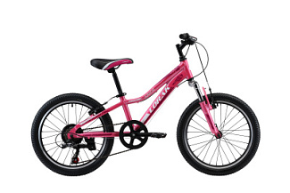 Велосипед детский Lorak JUNIOR 206 Girl 20"