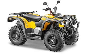 Квадроцикл STELS ATV 500 YS LEOPARD